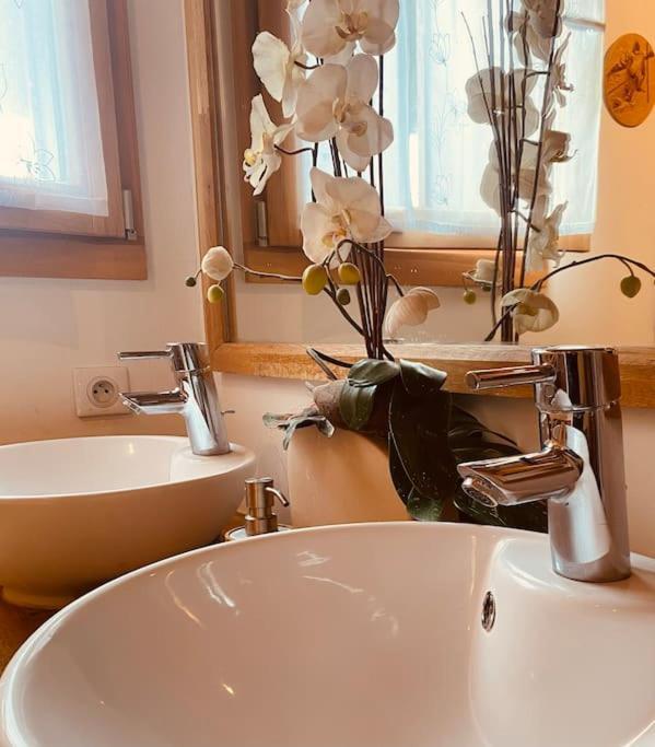 Chalet La Grange Seytroux エクステリア 写真